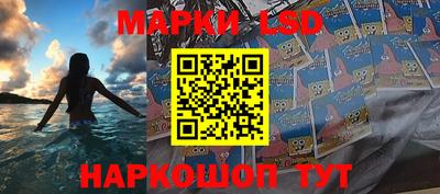 прущие грибы Будённовск