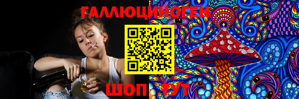 Галлюциногенные грибы Psilocybine cubensis Курганинск