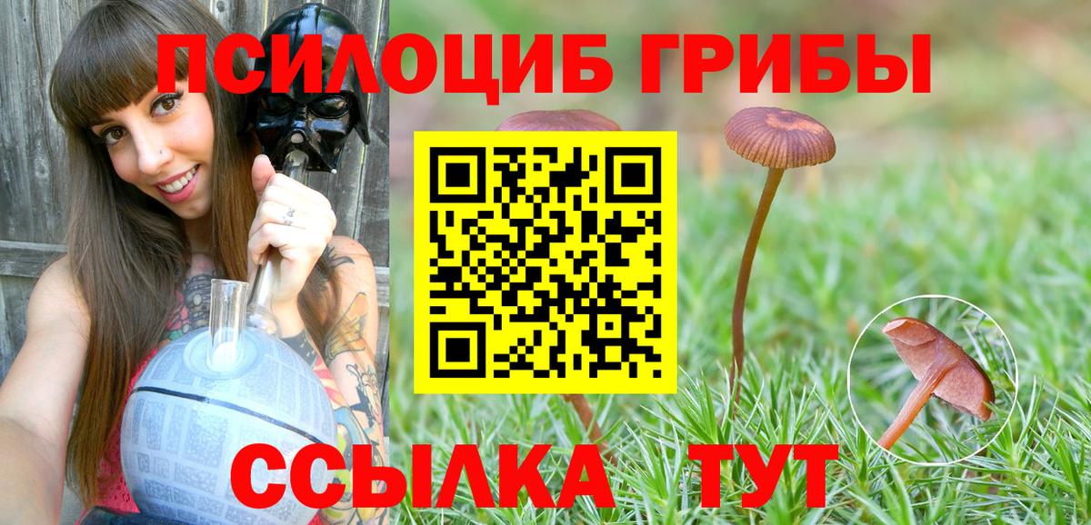 Галлюциногенные грибы Cubensis  Псилоцибиновые грибы Psilocybe  Курганинск  наркотики  Вход с VPN 